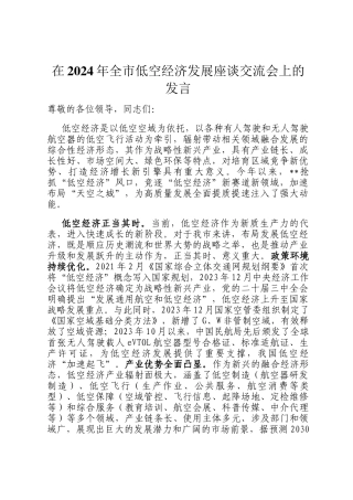 在2024年全市低空经济发展座谈交流会上的发言