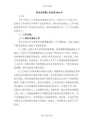 财务试用期工作总结2024年