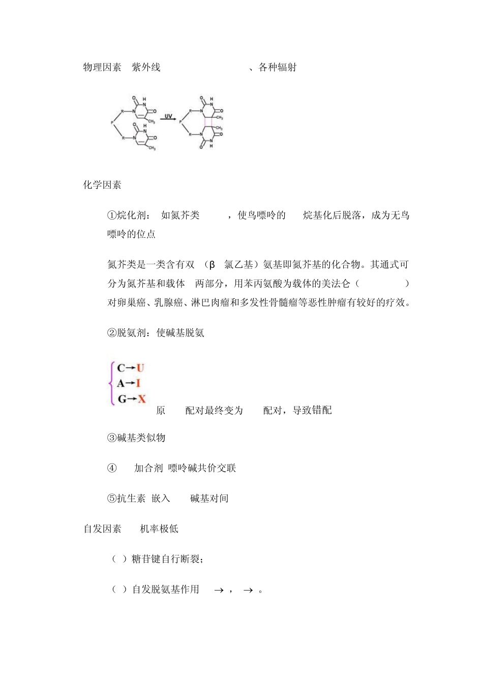 健康的基本概念_第3页