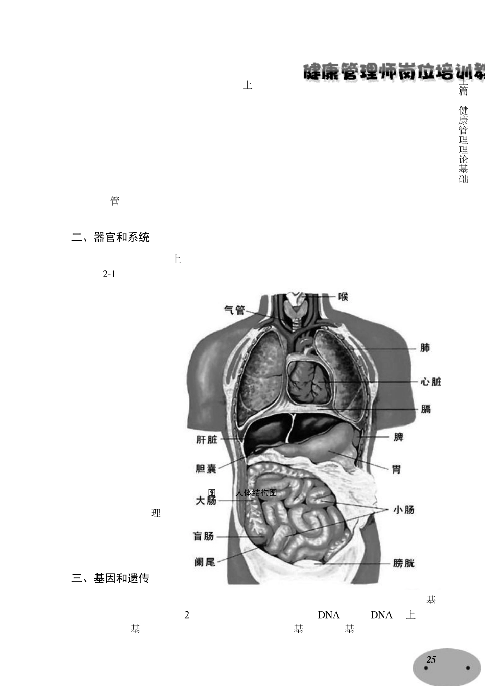 健康管理师教材：第二章人体的基本结构和功能_第2页
