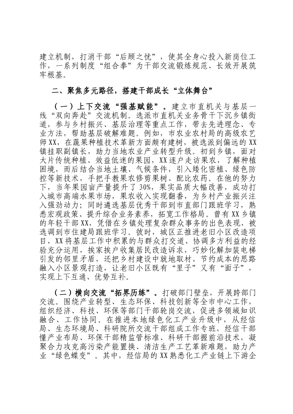 在2024年全市干部交流锻炼工作推进会上的典型发言_第2页