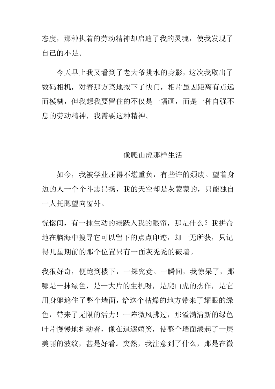 像——一样生活_第3页