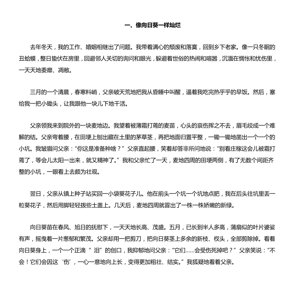 像向日葵一样灿烂_第1页