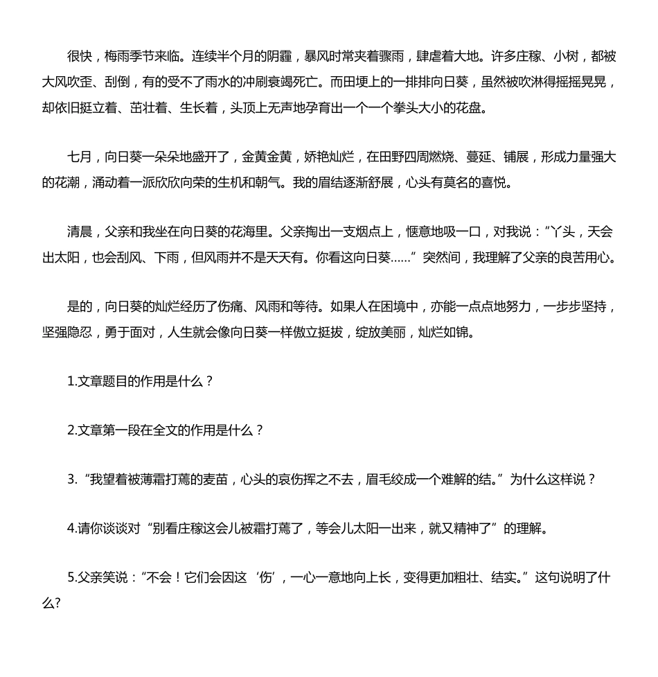 像向日葵一样灿烂_第2页