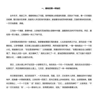 像向日葵一样灿烂