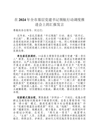 在2024年全市基层党建书记领航行动调度推进会上的汇报发言