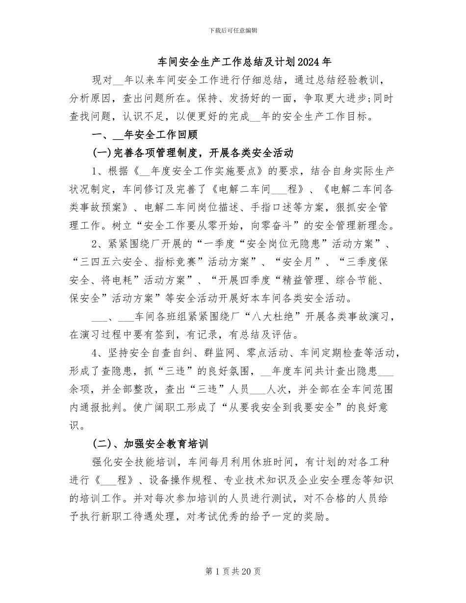 车间安全生产工作总结及计划2024年_第1页