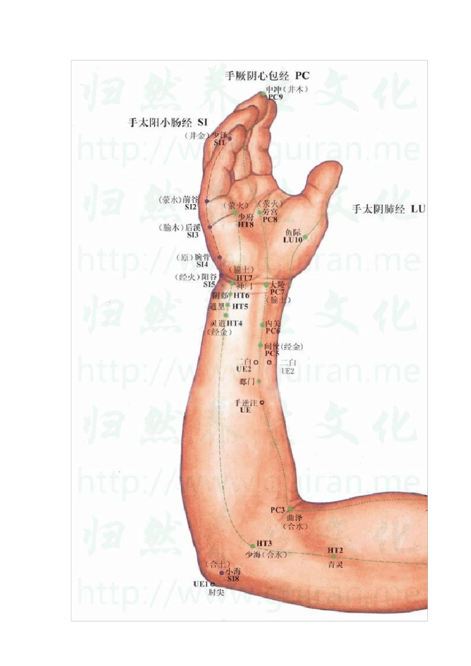 儿童抽动症家庭按摩.._第3页