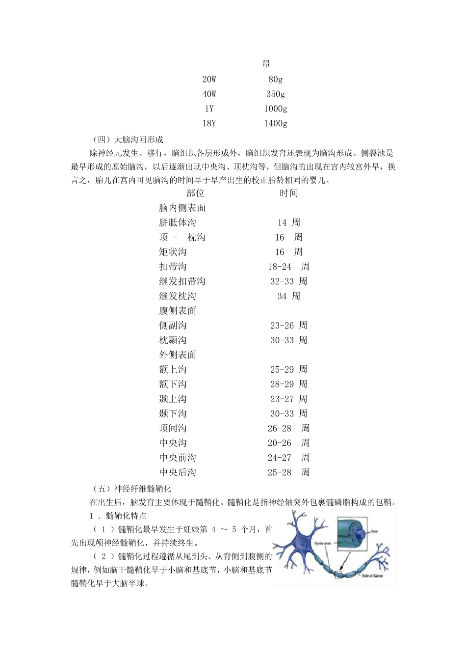 儿童脑正常发育的磁共振成像_第3页
