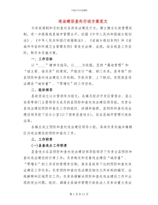 违法建设查处行动方案范文