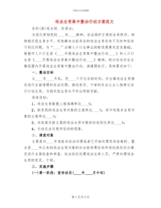违法生育集中整治行动方案范文