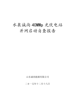 光伏电站自查报告