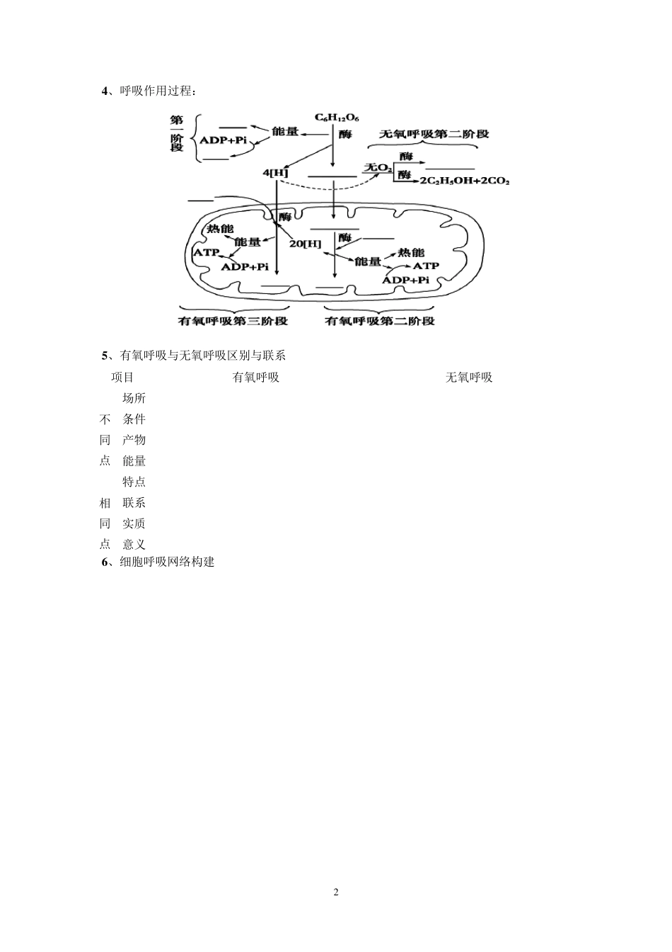 光合作用与呼吸作用专题复习_第2页