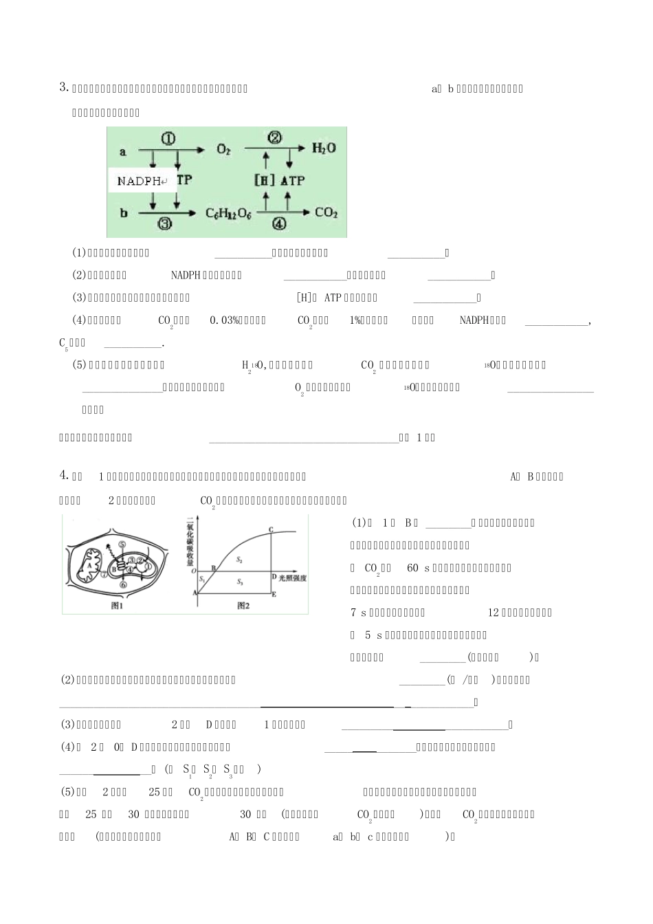光合作用与呼吸作用简答题_第2页