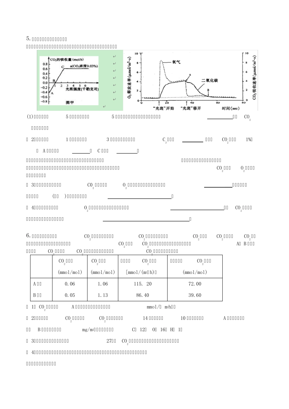 光合作用与呼吸作用简答题_第3页