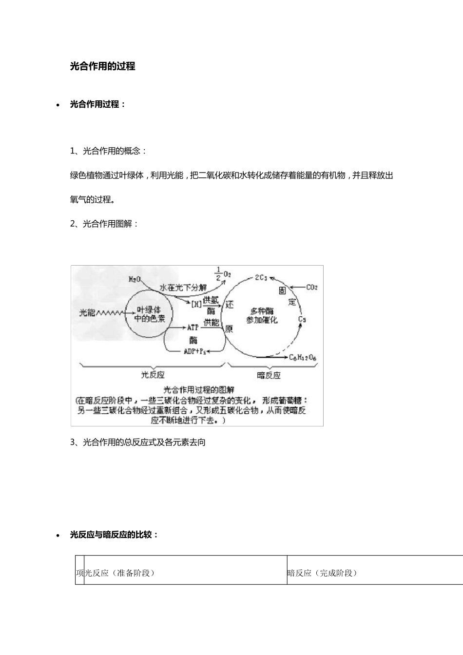 光合作用的过程_第1页