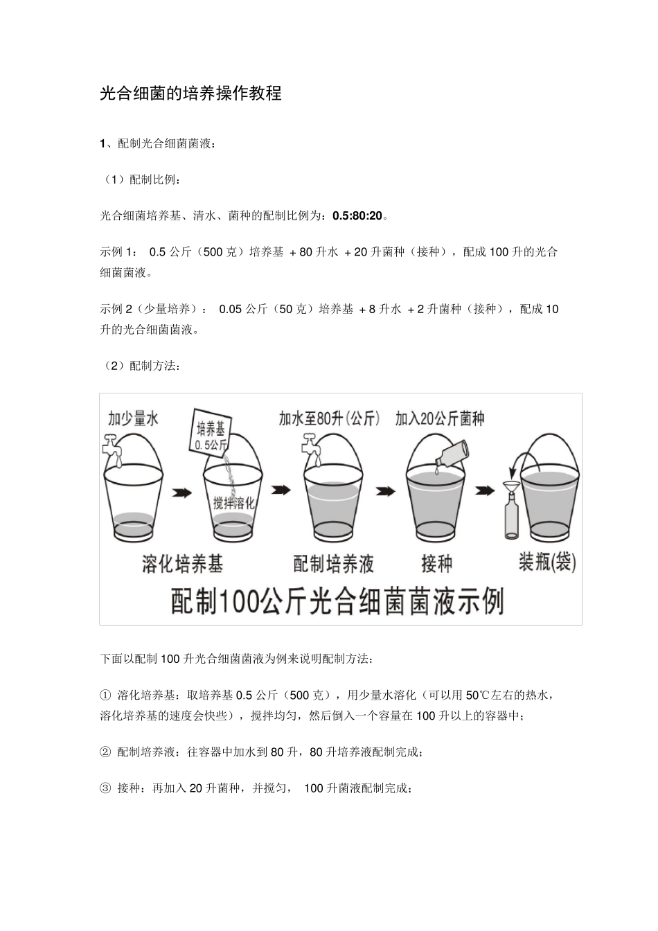 光合细菌的培养操作教程_第1页