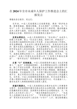 在2024年全市未成年人保护工作推进会上的汇报发言