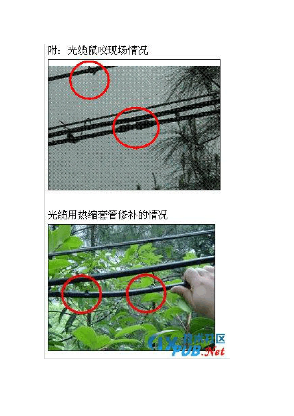 光缆防鼠咬的措施和效果_第2页