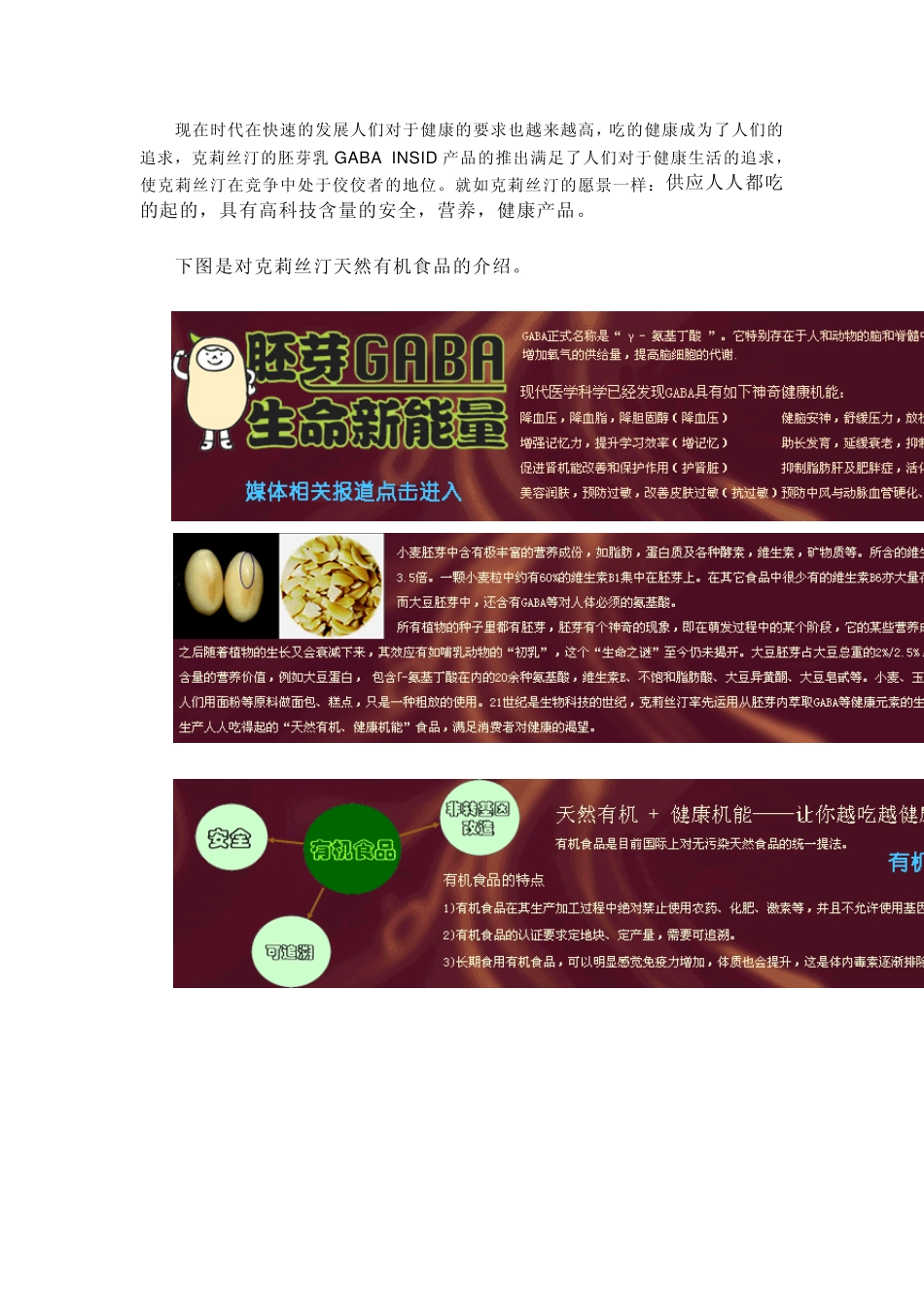 克莉丝汀广告策划书_第3页