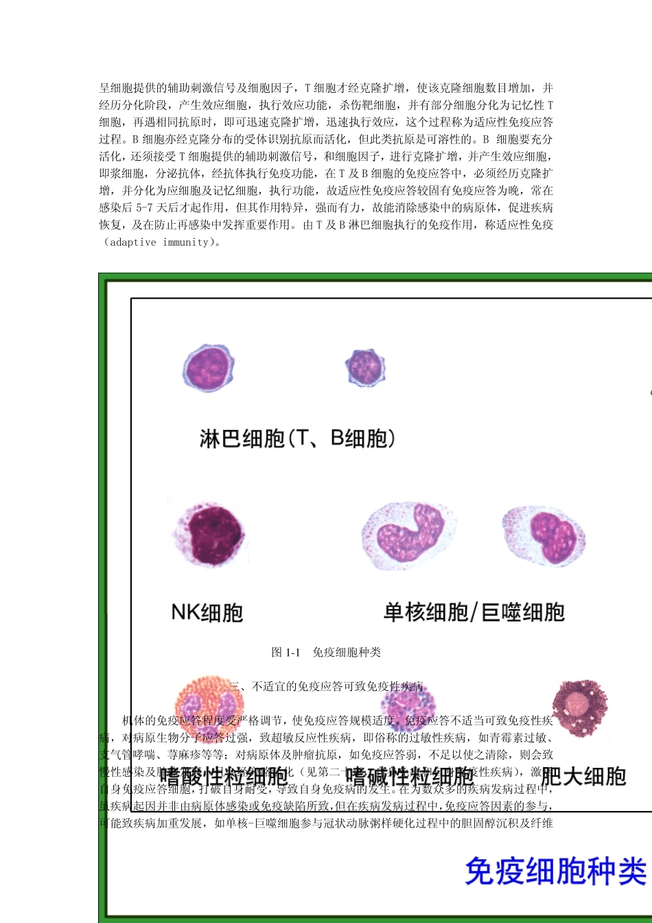 免疫学发展简史及其展望_第2页