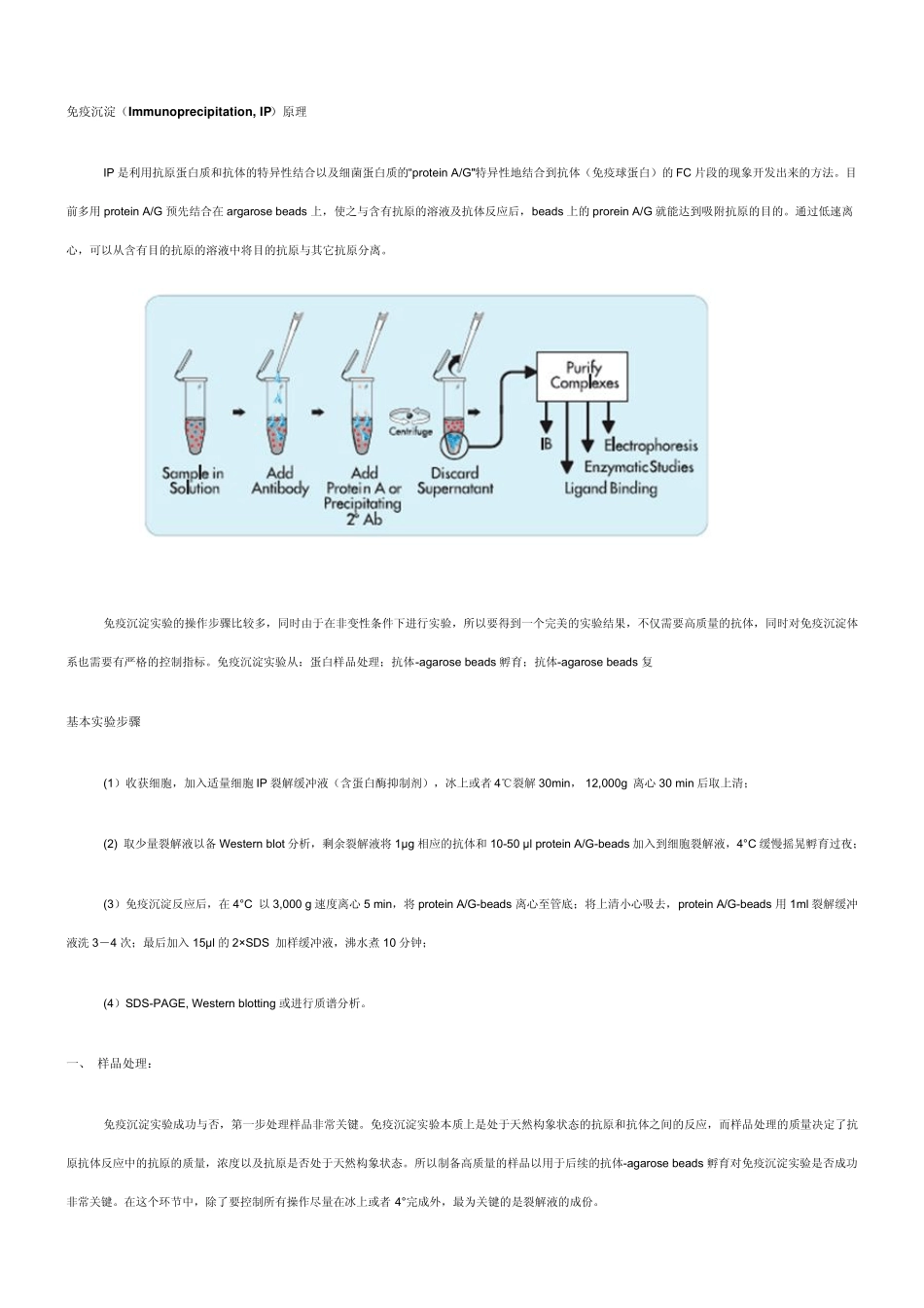 免疫沉淀(Immunoprecipitation,IP)原理_第1页