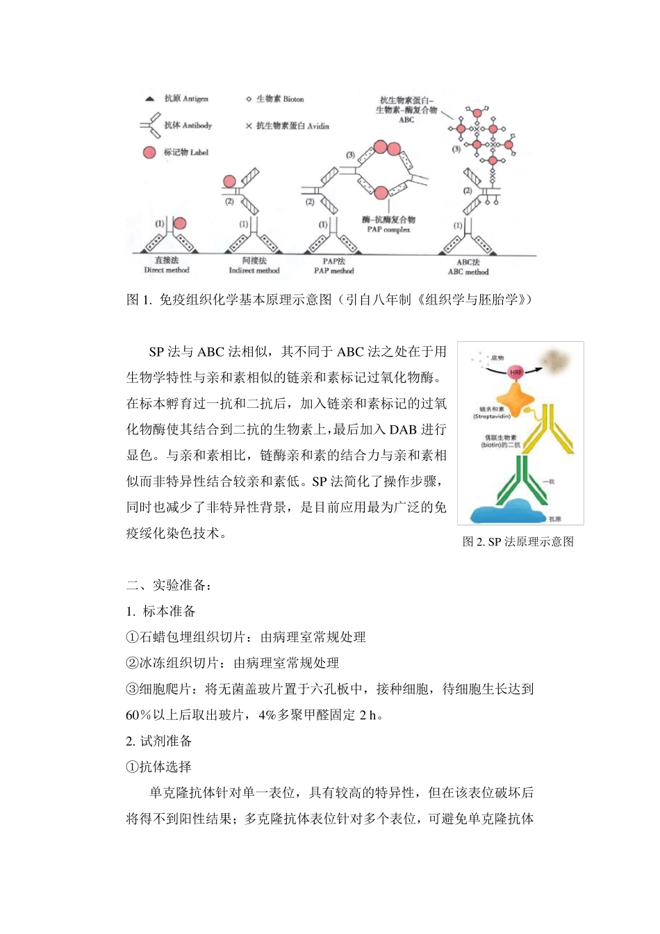 免疫组化染色操作步骤_第2页