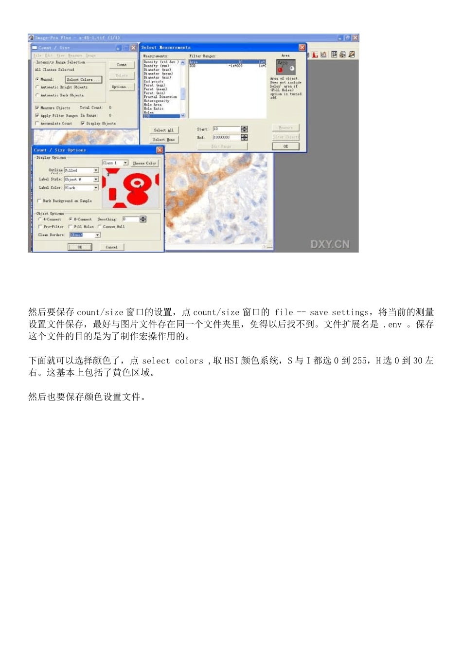 免疫组化的图象分析_第3页