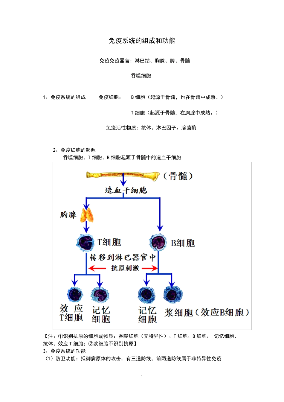 免疫调节(知识点笔记)_第1页