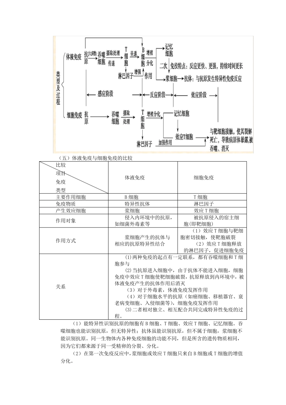 免疫调节知识点_第3页