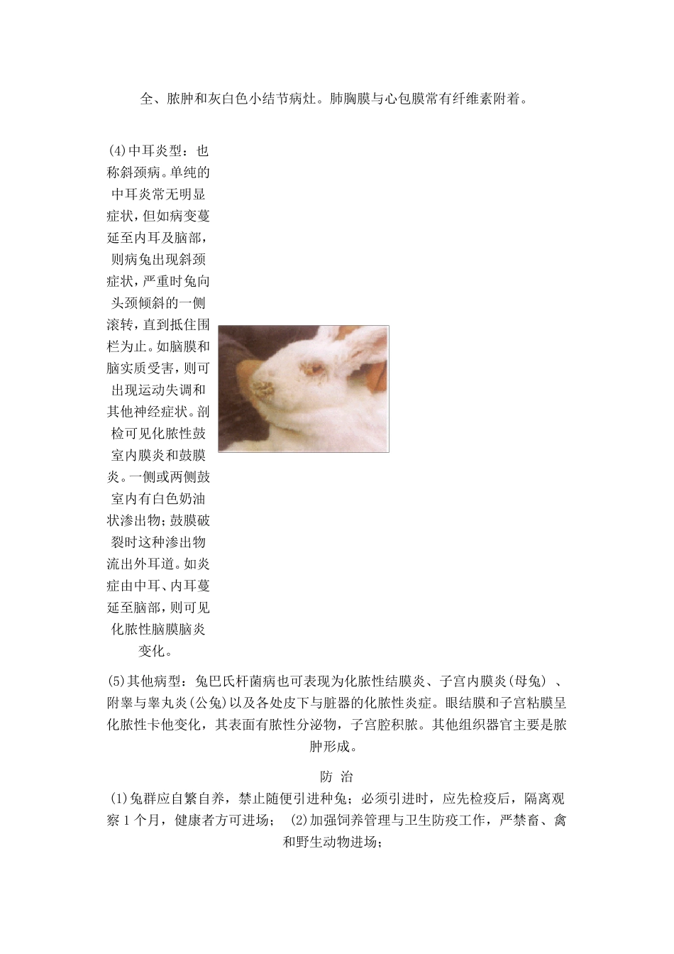 兔常见病的诊断与防治_第2页