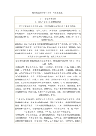 兔常见病的诊断与防治
