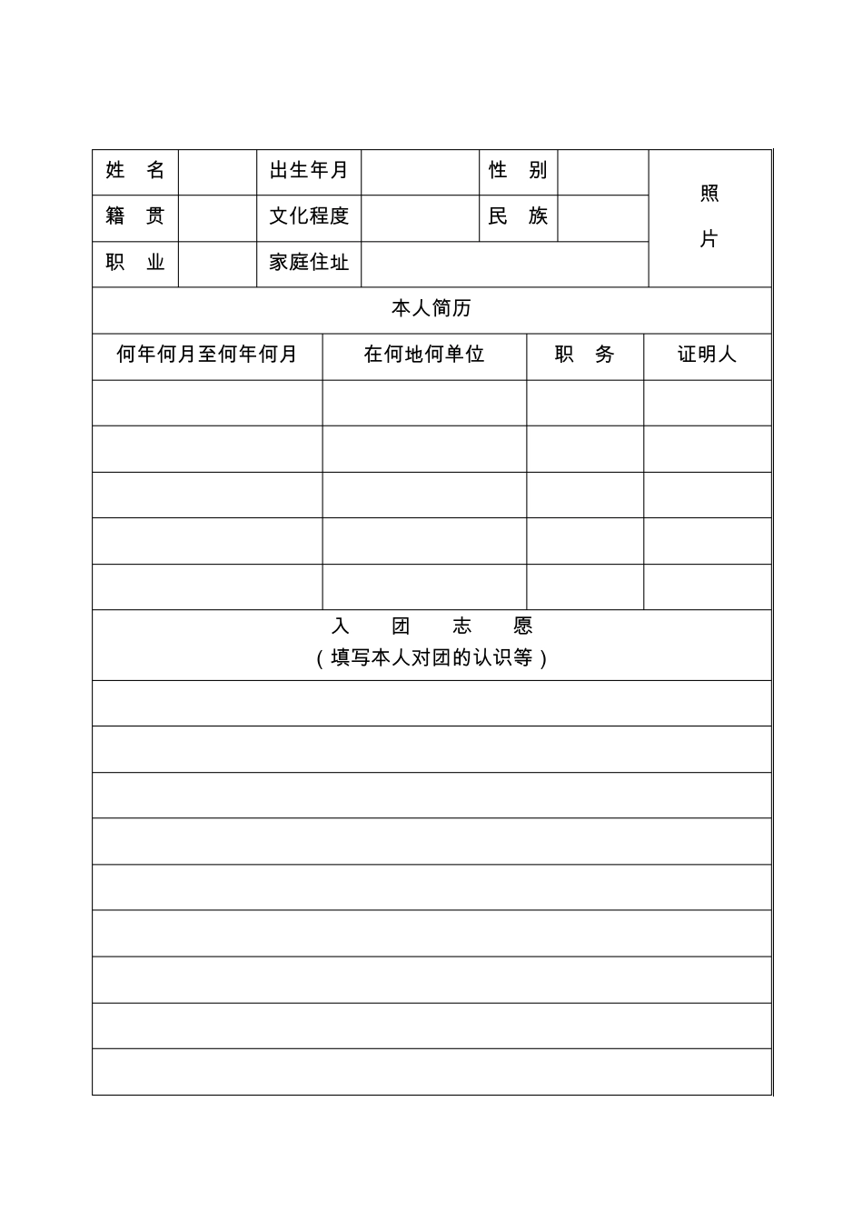 入团志愿书表格下载_第2页