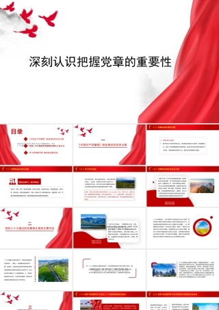 20深刻认识把握党章的重要性（党纪学习教育）（PPT)