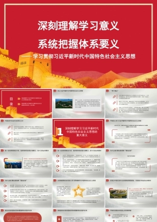 深刻理解学习意义 系统把握体系要义——学习贯彻新时代中国特色社会主义思想（PPT） (1)