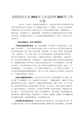 县政府办公室2024年工作总结和2025年工作计划