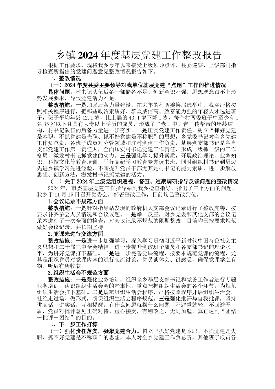 乡镇2024年度基层党建工作整改报告_第1页