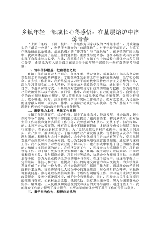 乡镇年轻干部成长心得感悟：在基层熔炉中淬炼青春
