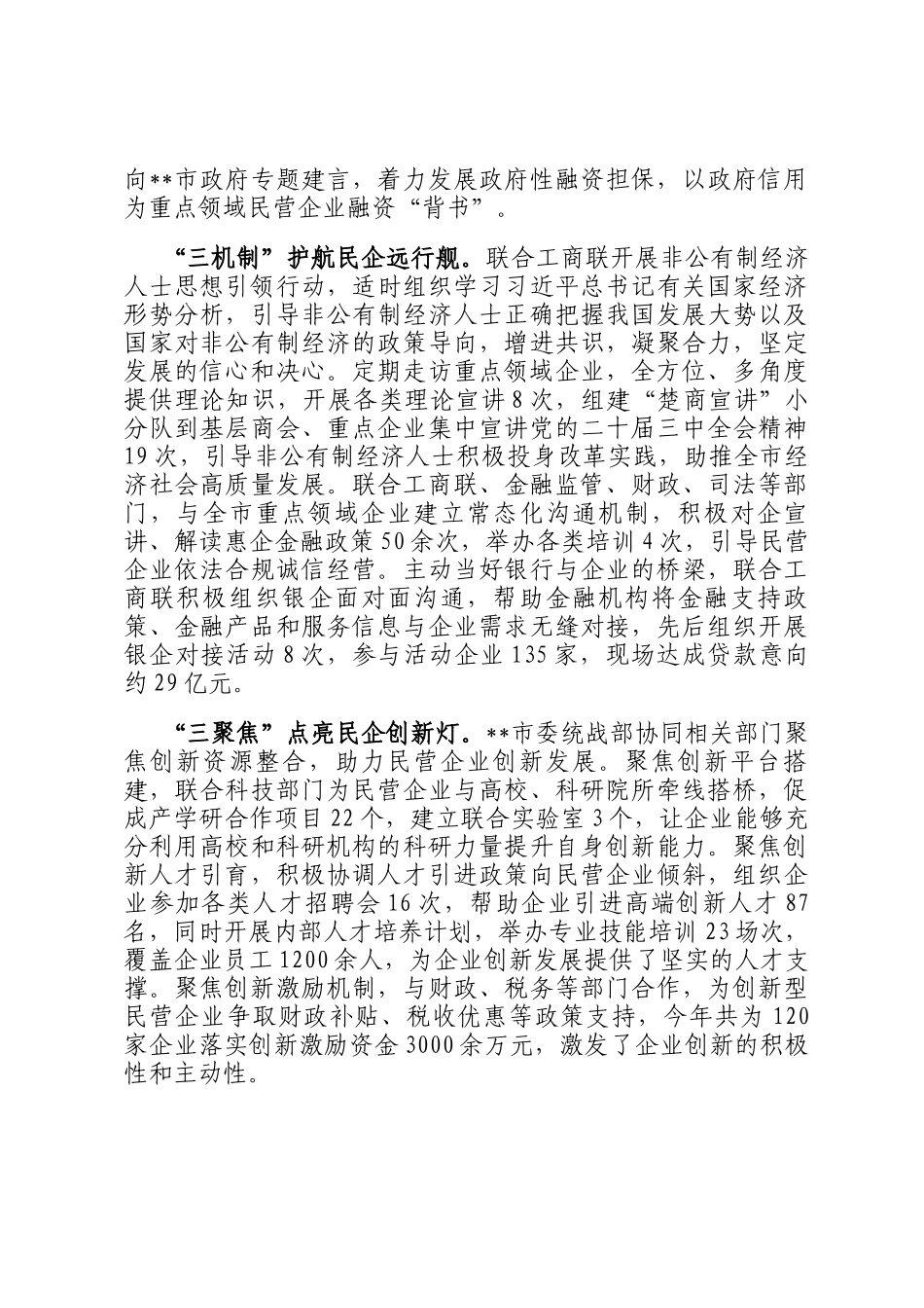 在2024年全市促进民营经济高质量发展联席会上的汇报发言_第2页