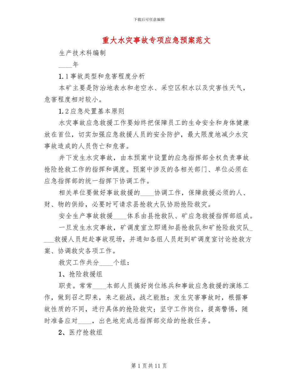 重大水灾事故专项应急预案范文_第1页