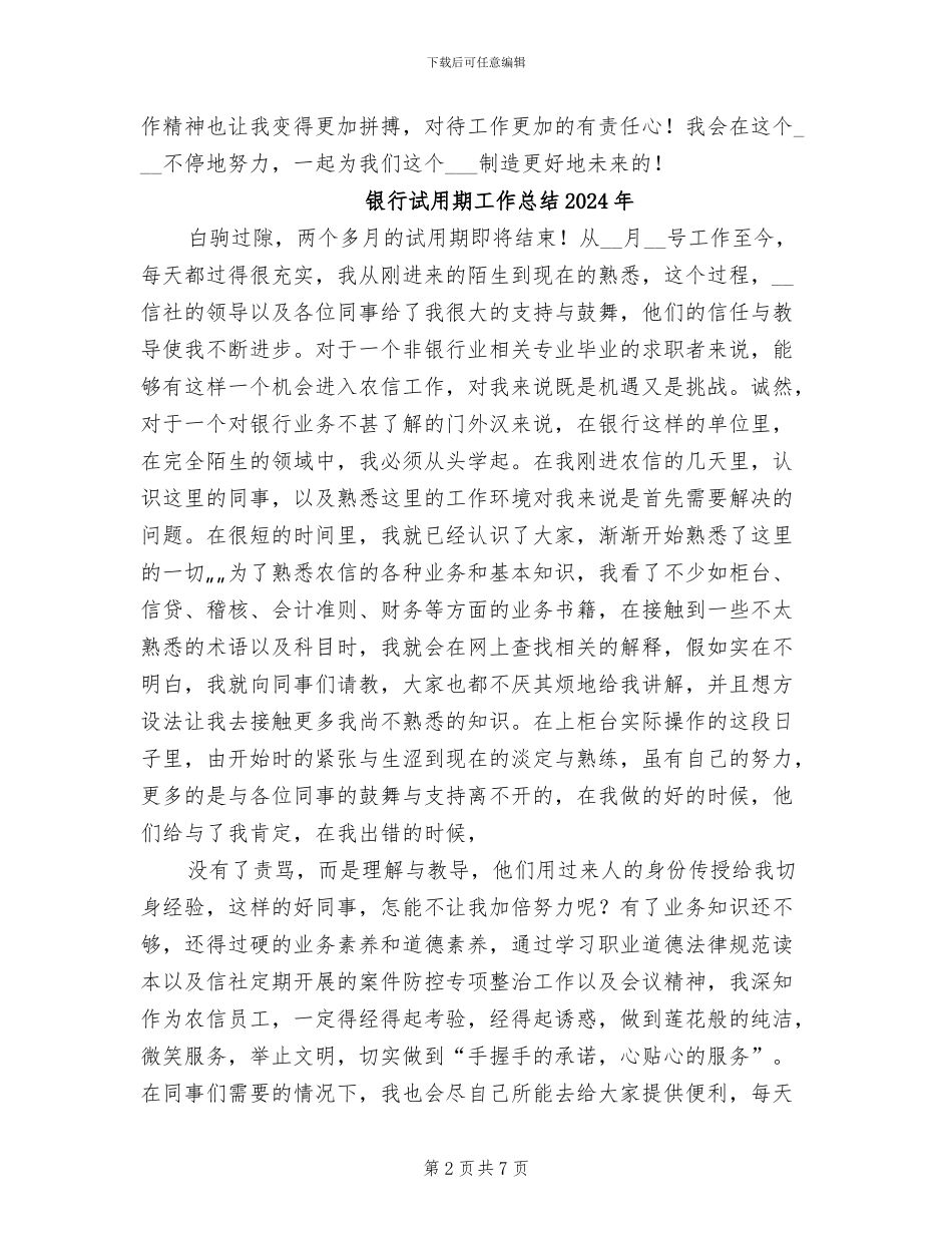 银行试用期员工个人工作总结2024年_第2页