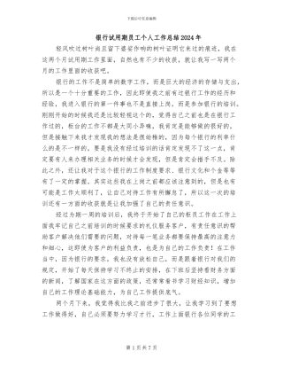 银行试用期员工个人工作总结2024年