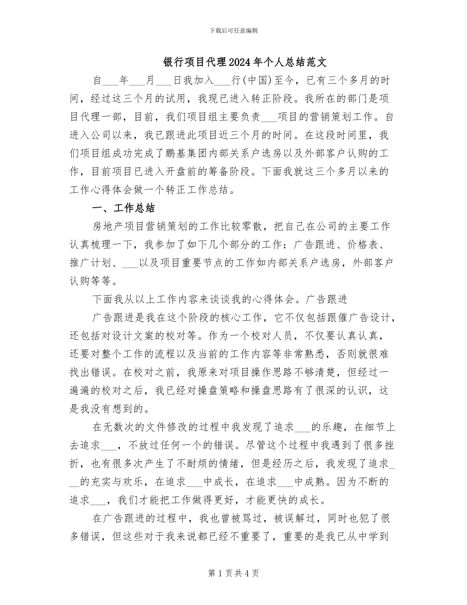 银行项目代理2024年个人总结范文_第1页