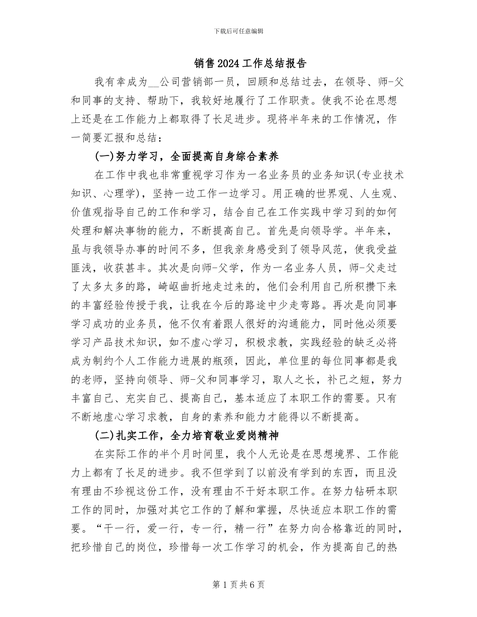 销售2024工作总结报告_第1页