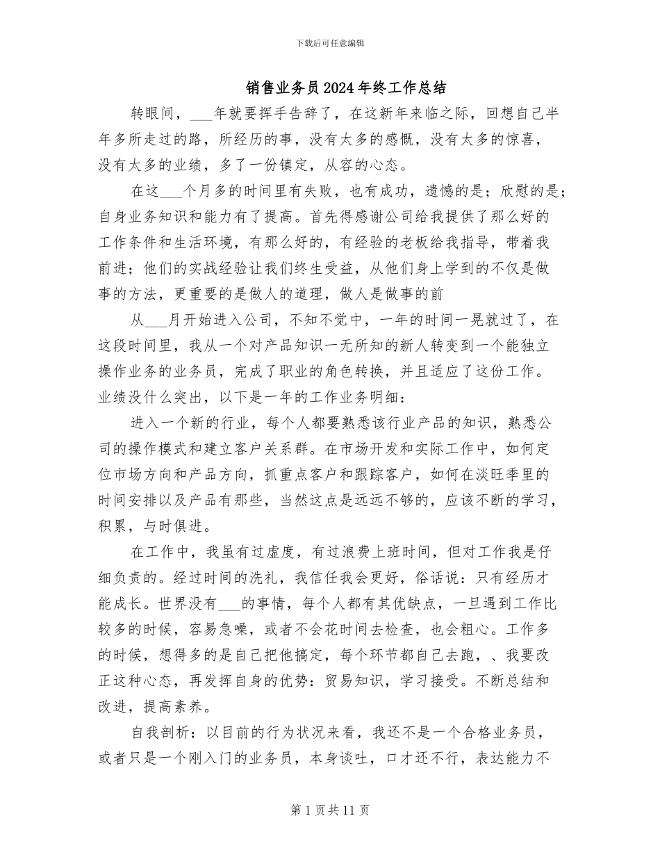 销售业务员2024年终工作总结_第1页