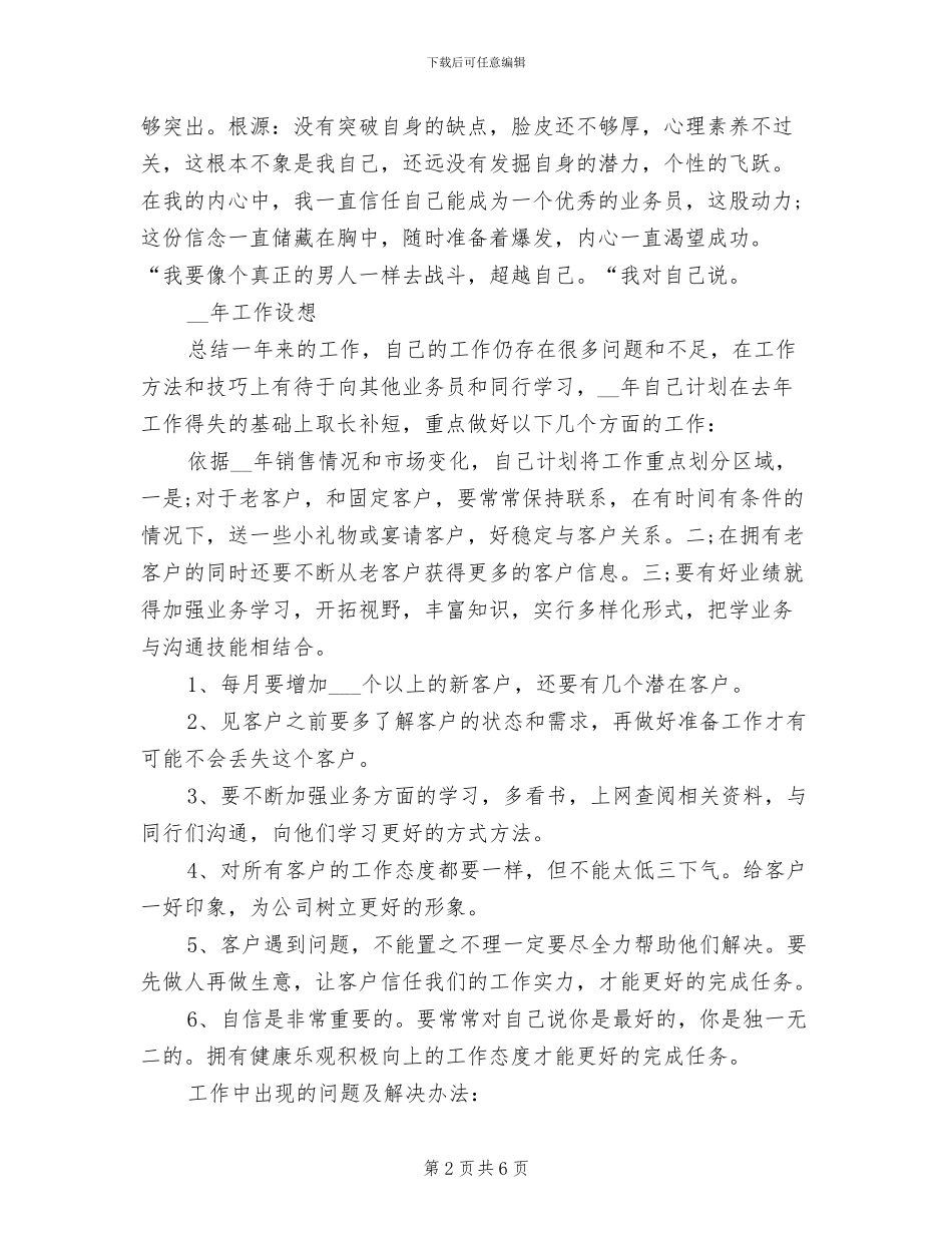 销售业务员个人工作总结2024_第2页