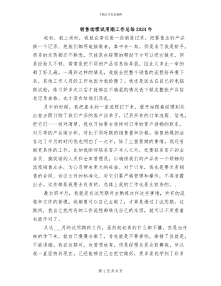 销售助理试用期工作总结2024年