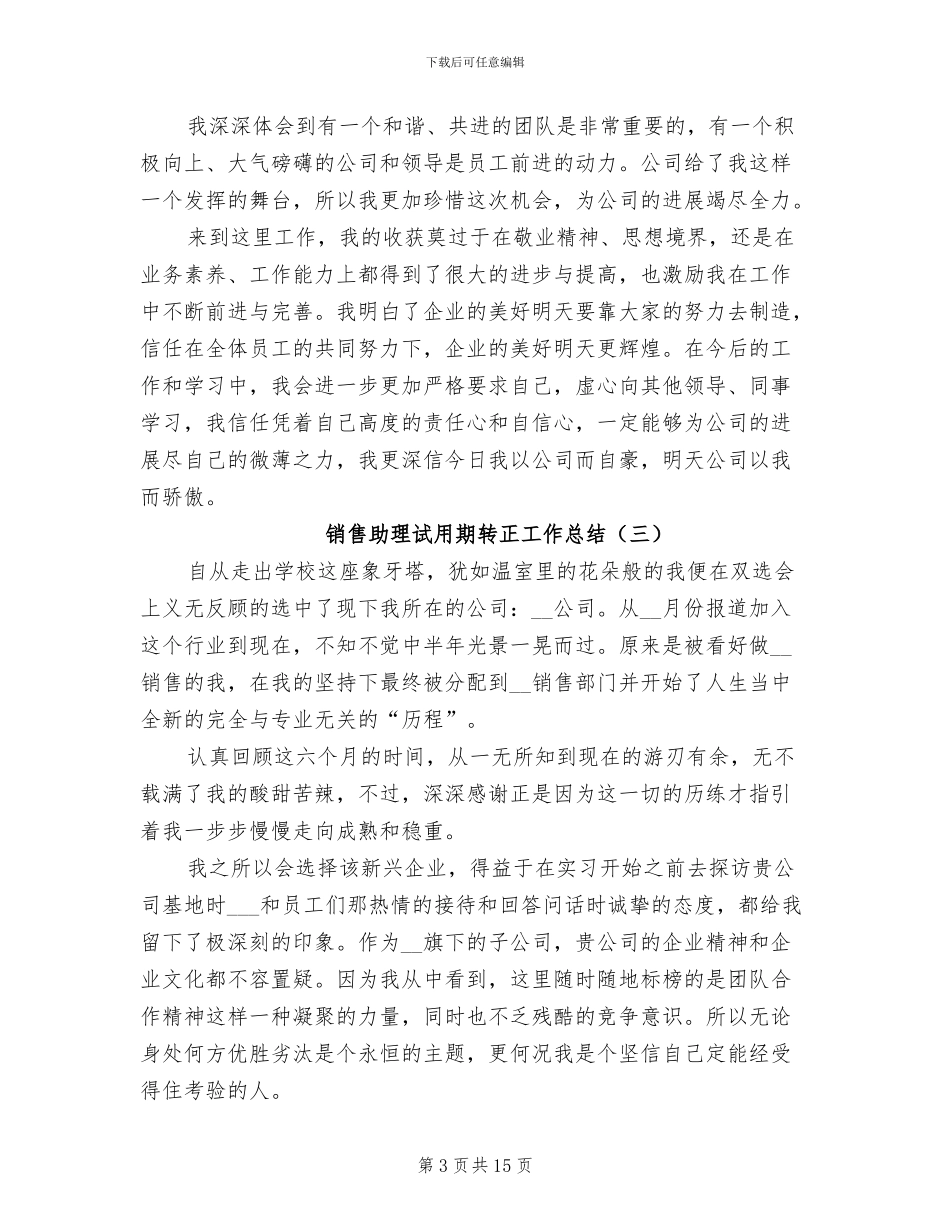 销售助理试用期转正工作总结2024年_第3页
