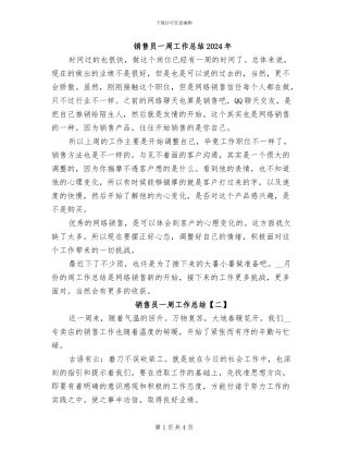 销售员一周工作总结2024年