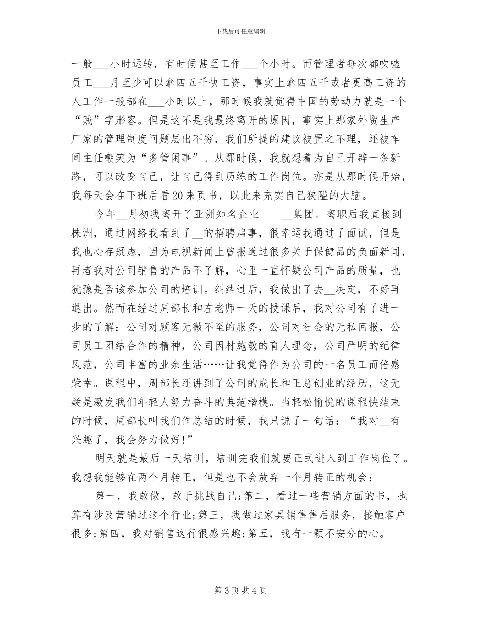 销售员个人2024年度工作总结_第3页